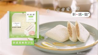 新感覺 - 鮪魚沙拉 獻上味蕾「星」感受