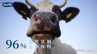 NuZilk - 紐西蘭進口草飼鮮乳_特色篇